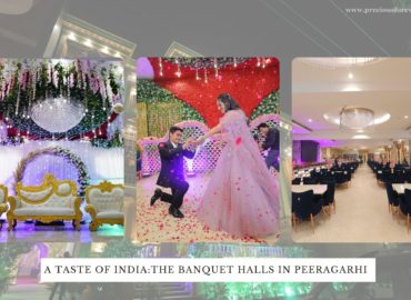 Banquet halls in peeragarhi